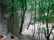 Зеленый театр на парковой аллее