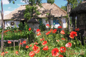 Поместье на хуторе Савки