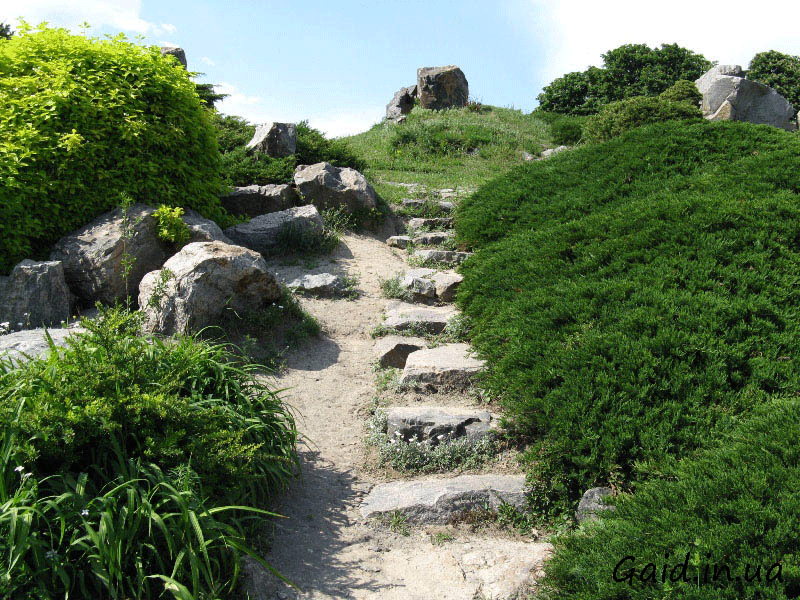 Киевский ботанический сад