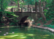 Венецианский мостик в дендропарке Софиевка